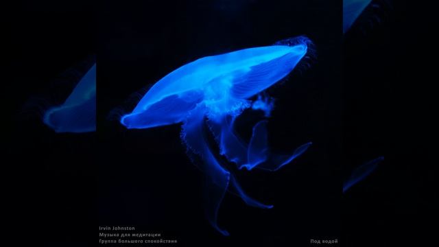 Поток воды на глубине смотреть онлайн