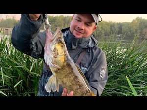 Самый большой Судак! Ловля Судака с Берега