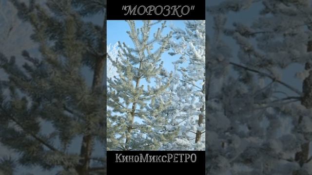 "МОРОЗКО" МУЗЫКАЛЬНЫЙ срез. #новыйгод#кино#фильмы#классика#лучшее#комедия#шедевр#новогодниеподарки