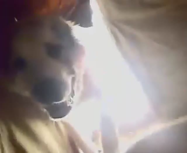 Баря, бабушка!!! 2012г смотреть онлайн