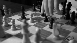 Шахматный турнир