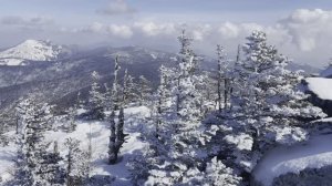 ПИДАН для Двоих | Одни на вершине (10.02.2024)