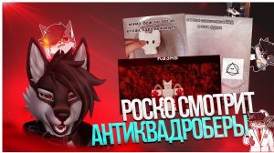 🐺 Роско кринжует с видео в TikTok | АНТИКВАДРОБЕРЫ