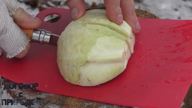 МУЖСКОЙ пирог "УДАР калориями по организму".