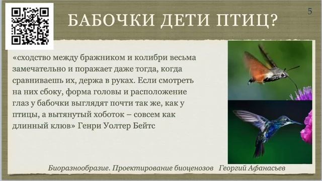 Биоразнообразие 1