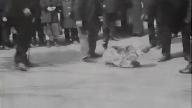 В зоологическом саду. Дореволюционная кинохроника avi
