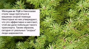 Николаев 12 декабря 2024 года (новости)