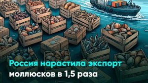 Россия нарастила экспорт моллюсков в 1,5 раза