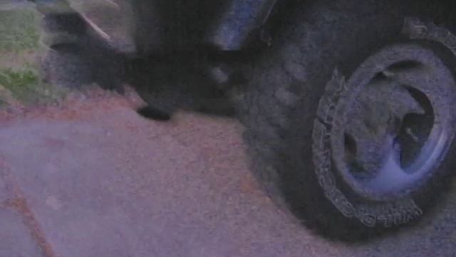 1992 Wrangler 2.5l with flowmaster смотреть онлайн