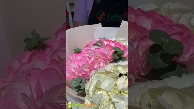 Букет Букет гортензий