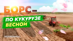 Работа по остаткам грубостебельных культ, Челябинская область