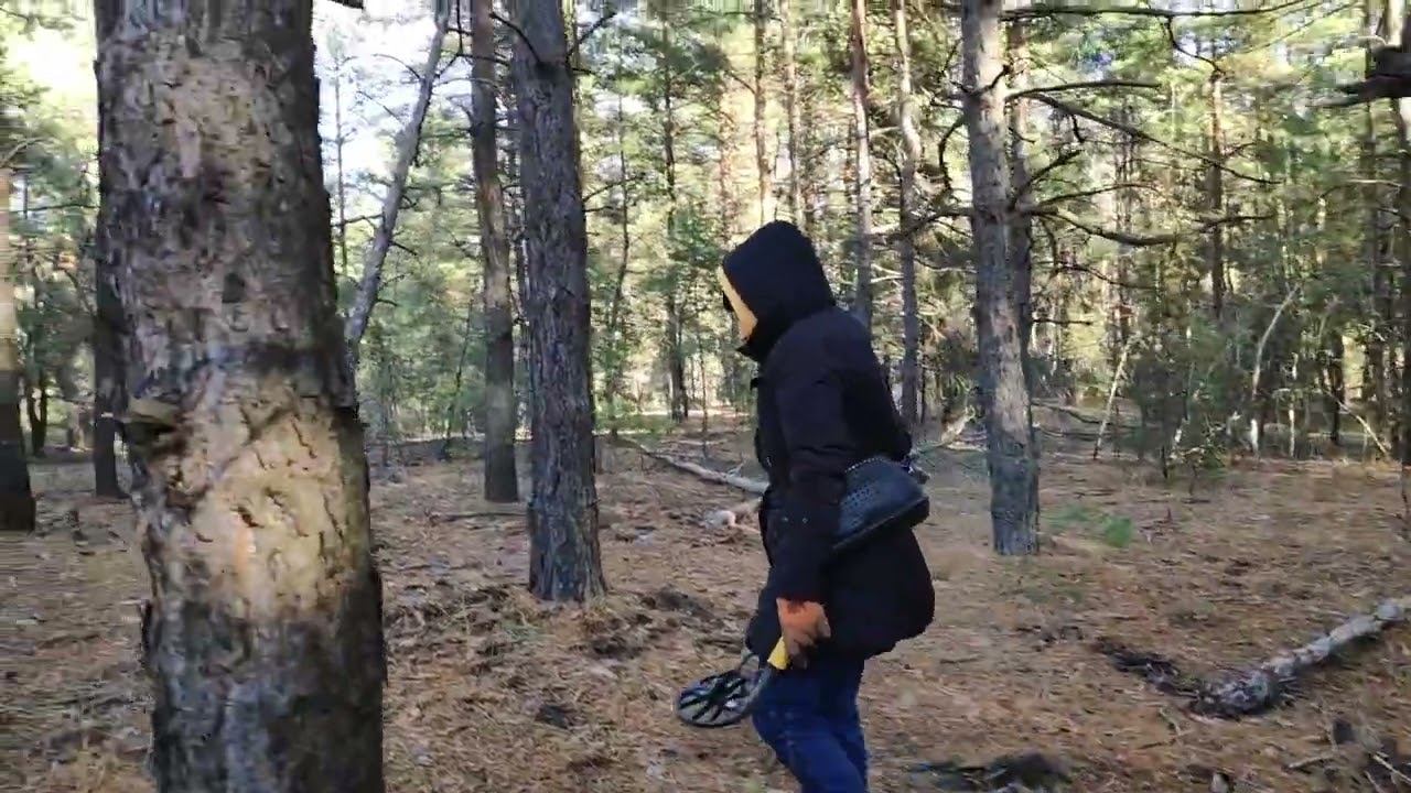 Семейный металлокоп с эквинокс 600 Ч 2  Minelab EQUINOX 600