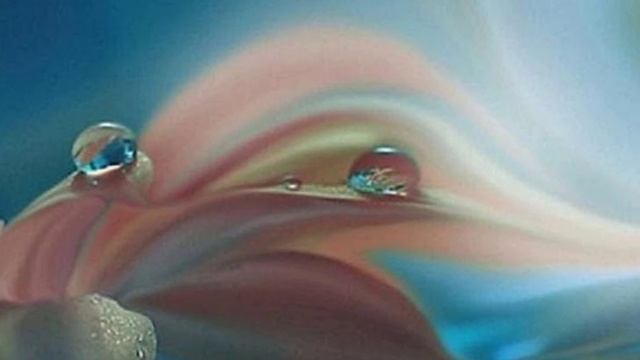 Гармония (вариация 3)