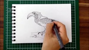 Рисую птицу Токо. / Wie ich ein Vogel TOKO male. Zeichnen im Zeitraffer.