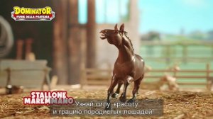Степные рысаки Sbabam