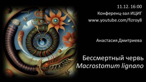 Анастасия Дмитриева "Бессмертный червь Macrostomum lignano"