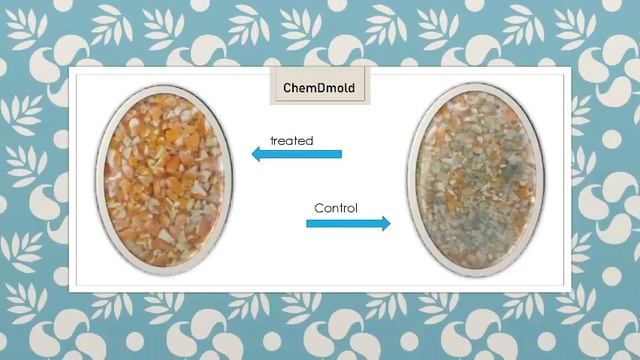 Poultry feed mould inhibitor.| Chemlife Innovations.