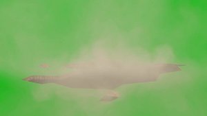 ground crack and collapse - green screen - free use
