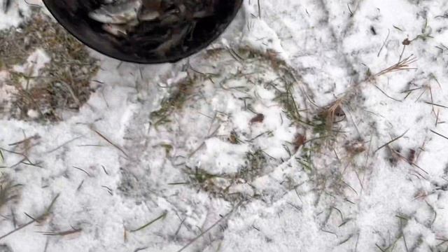 ДОБРОДЕЛЫ ДАЮТ УРОКИ ПОДПИСЧИКАМ. ПРОЩАЮТСЯ С ЮТУБОМ.