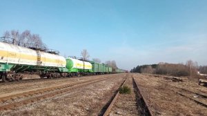 Движение поездов в Псковской области. Синяя ушка, скрещение грузовых, старые и новые тепловозы