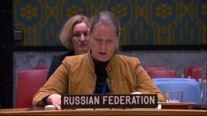 Statement by Maria Zabolotskaya at a UNSC Briefing on IRMCT