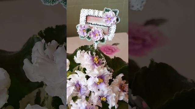Табличка-ярлычок из полимерной глины. Сорт SV-Мисс Атлантида. 💖