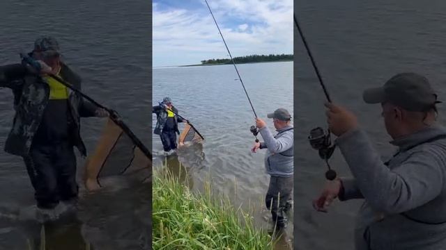 Северный Сахалин Fishing on Sakhalin