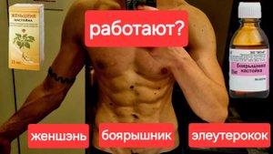 Женьшень, Элеутерокок, Боярышник