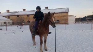 Заездка лошади| Первый раз в седле! Осторожно, экстрим! Родео.