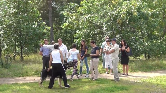 20140817131416 3 смотреть онлайн