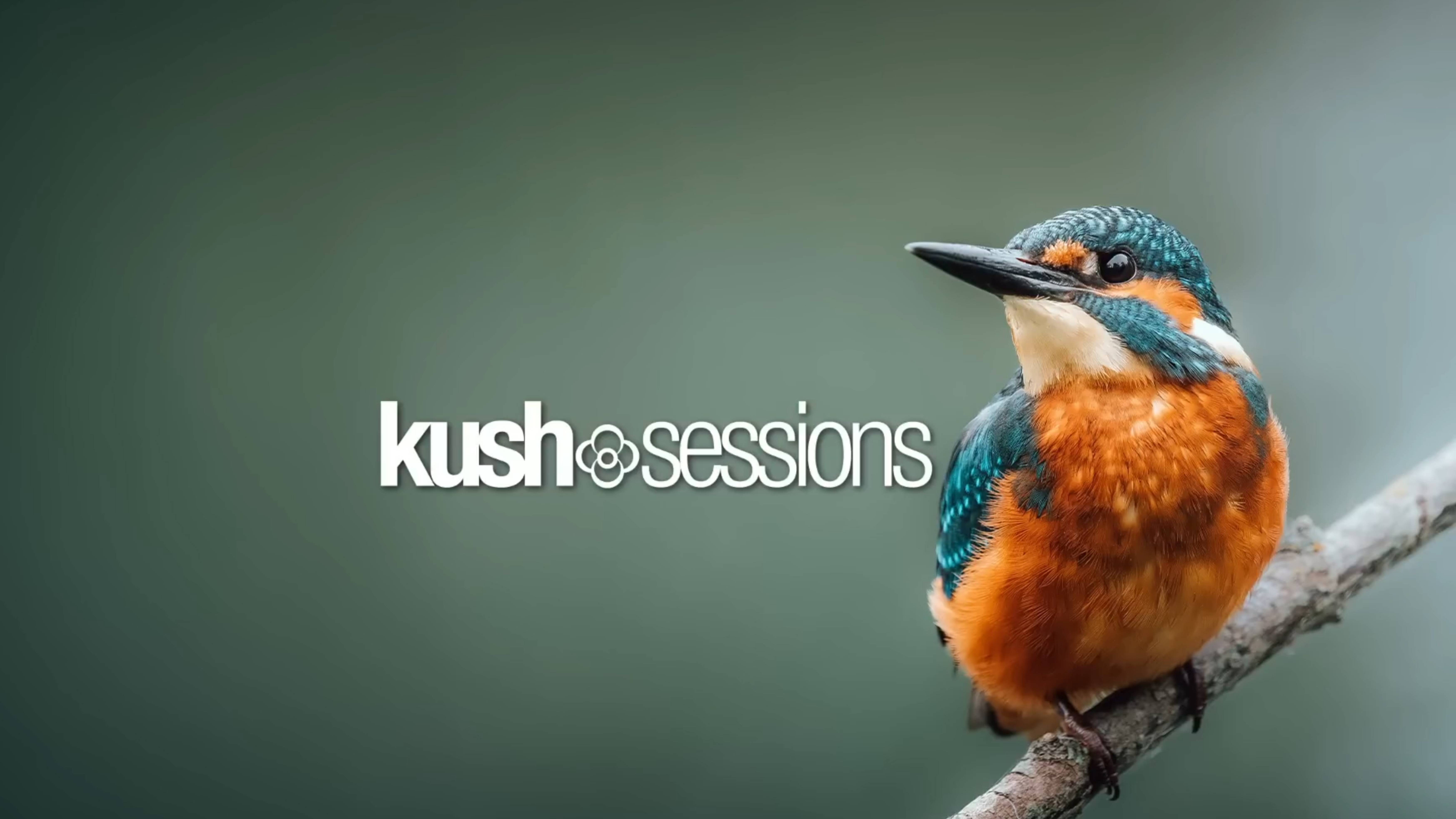 Rossum and Crissy - Kush Sessions 283 (Liquid Drum & Bass Mix)