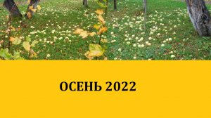 Яблочко | Осень 2022.