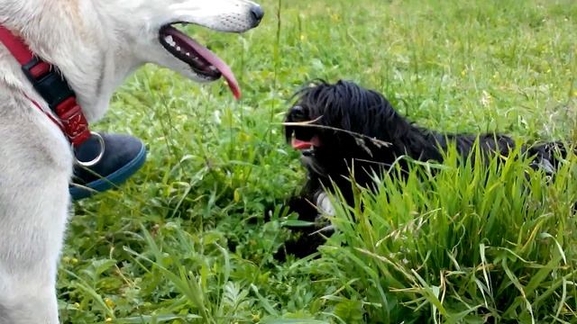 Яна и Джейк. 25 июня 2017 г. смотреть онлайн