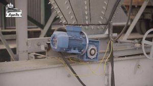 Сушка кукурузы на Штраль за один проход. Идеальное качество зерна