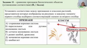 Подготовка к ОГЭ по биологии в 2025 году