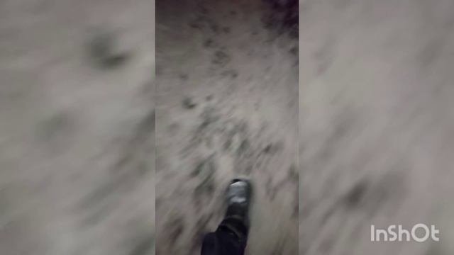 теггинг и троап