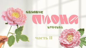 мастер-класс по вязанию ПИОНА крючком I  часть 2