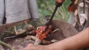 Новые Робинзоны