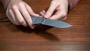 Мысли о ноже: Cold Steel Pocket Bushman