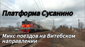 Поезда на Витебском направлении Октябрьской Ж/Д. Перегон Семрино - Вырица ( пл. Сусанино )