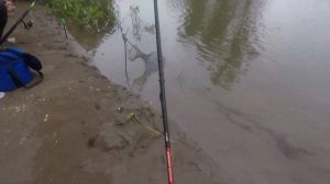 Рыбалка на фидер и донку с ночевкой - Лещ Сомики и Разнорыбица р.Дёма