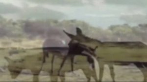 Четыре татарина и один армян