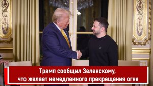 Трамп сообщил Зеленскому, что желает немедленного прекращения огня