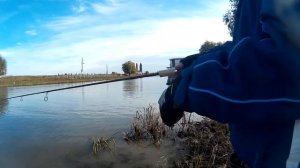 Видео обзор катушки Kaida MVR 3000
