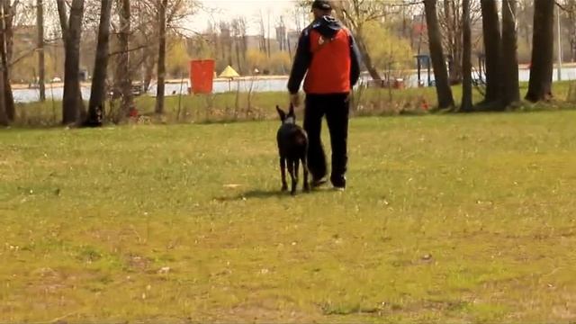 Жемчужина Черноземья Динара, 16 месяцев смотреть онлайн