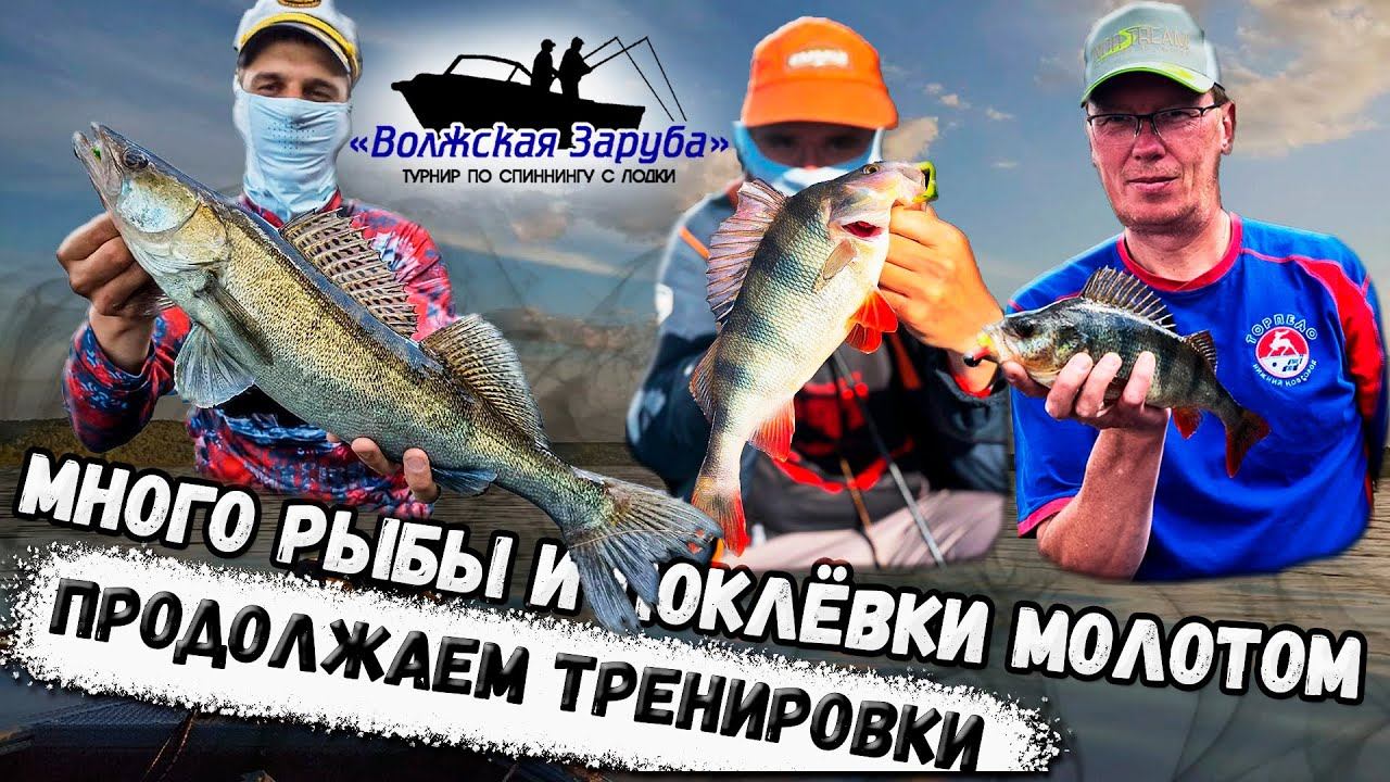 ЖЁСТКИЕ поклёвки СУДАКА и ВЕЗДЕСУЩИЙ ОКУНЬ |Тренировки к турниру "Волжская Заруба" 2022|Часть вторая