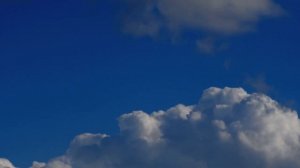 Palestrina — Agnus Dei — Missa Sicut Lilium Inter Spinas