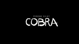 PS,Cobra, Mamba'ul Ulum bata2