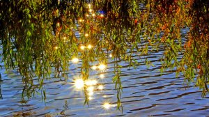 Солнечный зайчик. (Я мечтала о морях и кораллах)  Поёт  Валентина Дробышева.