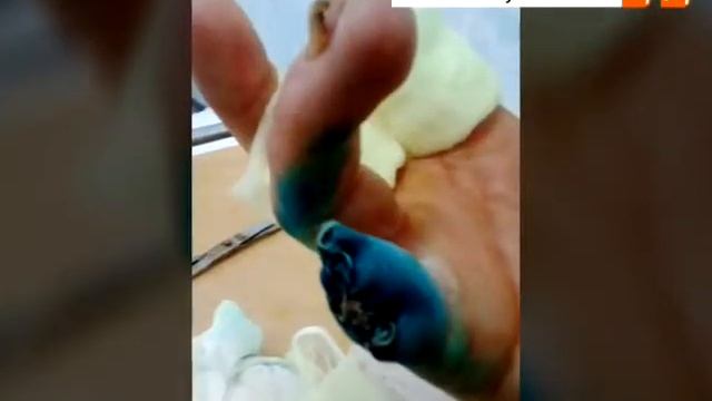 Откусил палец смотреть онлайн